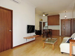 Dover Parkview (D5), Condominium #210195731